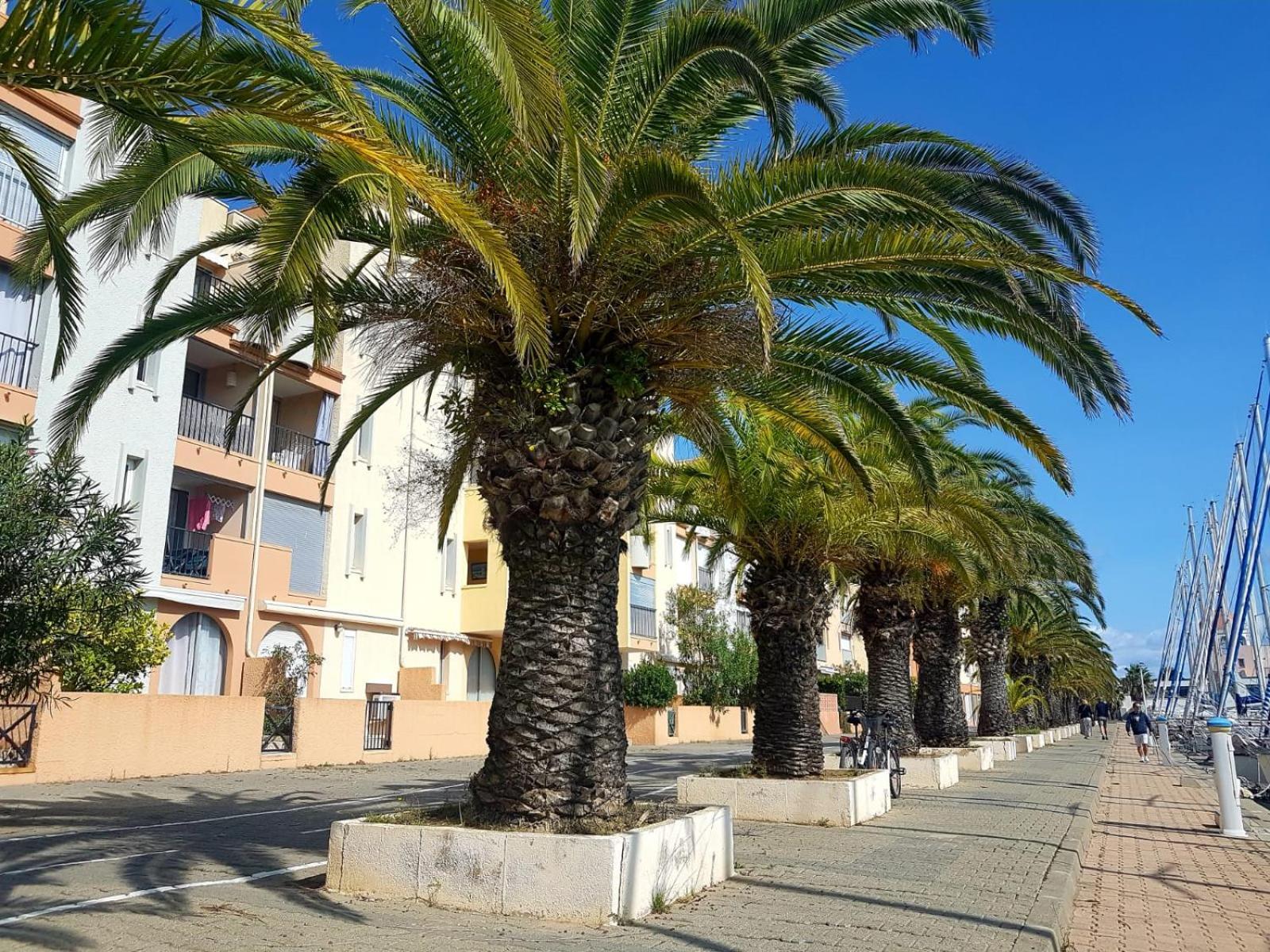 T2 Sur Le Port Avec Parking Apartment Груисан Екстериор снимка